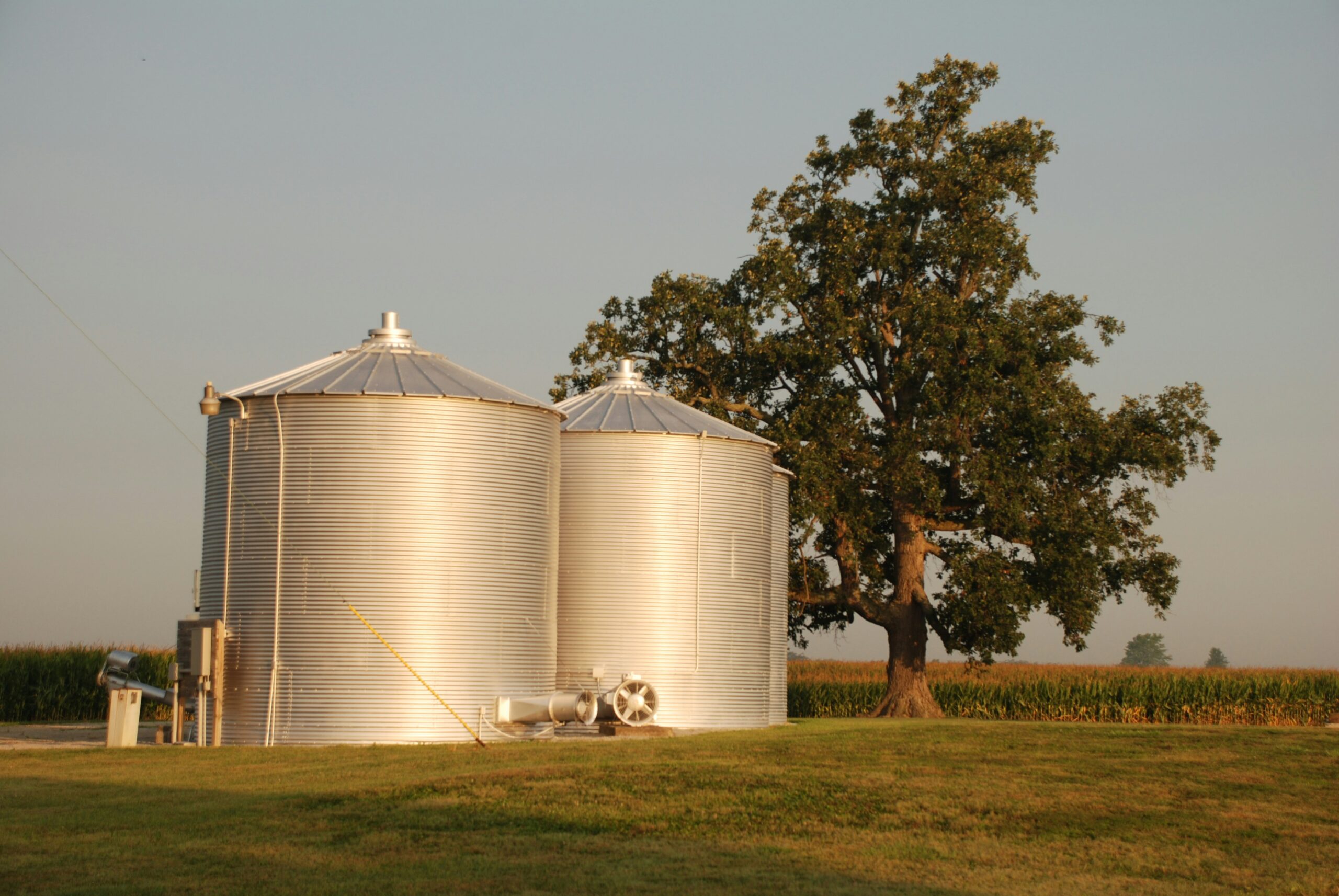 Wsparcie dla inwestycji w&nbsp;odnawialne źródła energii